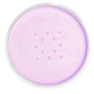 FOREVER52 DEEP BAKE TRANSLUCENT POWDER - Image 3