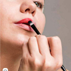 SHOPAAREL RICH COLOR LIP PALETTE-MINI - Image 3